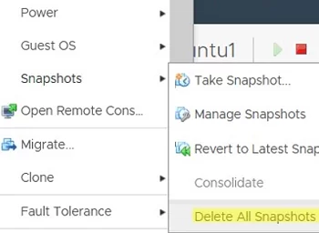 vmware vm: delete all snapshots